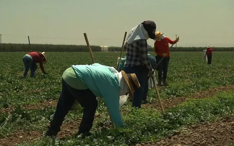 Trabajador rural: cuánto cobra en mayo 2026 tras la nueva suba salarial | GENESIS24.NET > Portal Multimedia Líder en Noticias
