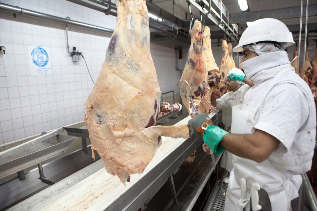 Con mejores precios y mercados se impulsa el negocio de la carne | GENESIS24.NET > Portal Multimedia Líder en Noticias